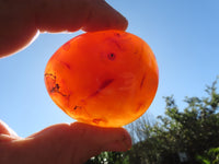 Polished Bright Red/ Orange Small to Medium Sized Carnelian Agate Palm Stones / Gallets - sold per kg - From Madagascar - TopRock