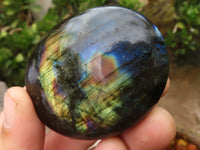 Polished Large Labradorite Palm Stones  x 12 From Madagascar - TopRock