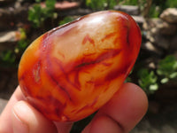 Polished Carnelian Agate Gemstone Eggs x 12 From Madagascar - TopRock