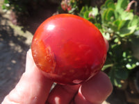 Polished Bright Red/ Orange Small to Medium Sized Carnelian Agate Palm Stones / Gallets - sold per kg - From Madagascar - TopRock