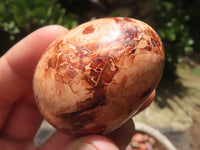 Polished Carnelian Agate Gemstone Eggs x 12 From Madagascar - TopRock