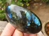 Polished Large Labradorite Palm Stones  x 12 From Madagascar - TopRock