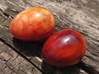 Polished Carnelian Agate Gemstone Eggs x 12 From Madagascar - TopRock