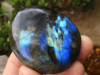 Polished Large Labradorite Palm Stones  x 12 From Madagascar - TopRock