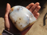 Polished Agate Standing Free Forms x 2 From Madagascar