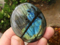 Polished Large Labradorite Palm Stones  x 12 From Madagascar - TopRock