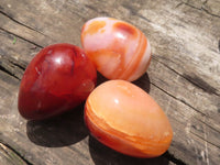 Polished Carnelian Agate Gemstone Eggs x 12 From Madagascar - TopRock