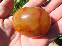 Polished Bright Red/ Orange Small to Medium Sized Carnelian Agate Palm Stones / Gallets - sold per kg - From Madagascar - TopRock