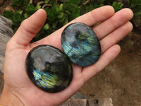 Polished Large Labradorite Palm Stones  x 12 From Madagascar - TopRock