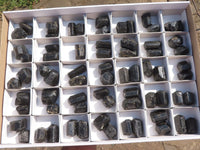 Natural Single Terminated Alluvial Black Schorl Tourmaline Crystals  x 69 From Zimbabwe - TopRock