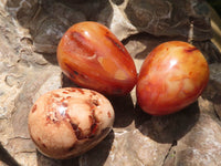 Polished Carnelian Agate Gemstone Eggs x 12 From Madagascar - TopRock