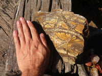 Natural Rough Nguni Jasper Cutting Material  x 4 From Northern Cape, South Africa - Toprock Gemstones and Minerals 