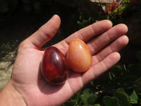 Polished Carnelian Agate Gemstone Eggs x 12 From Madagascar - TopRock