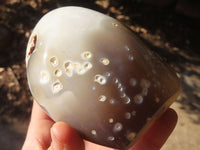 Polished Agate Standing Free Forms x 2 From Madagascar