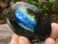 Polished Large Labradorite Palm Stones  x 12 From Madagascar - TopRock