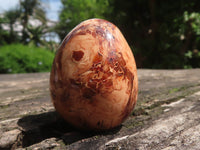 Polished Carnelian Agate Gemstone Eggs x 12 From Madagascar - TopRock