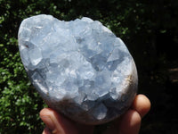 Natural Crystal Centred Blue Celestite Eggs  x 2 From Sakoany, Madagascar - TopRock