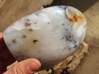 Polished Agate Standing Free Forms x 2 From Madagascar