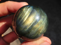 Polished Rare Flashy Labradorite Spheres x 6 From Tulear, Madagascar