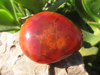 Polished Bright Red/ Orange Small to Medium Sized Carnelian Agate Palm Stones / Gallets - sold per kg - From Madagascar - TopRock