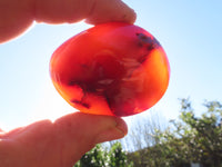 Polished Bright Red/ Orange Small to Medium Sized Carnelian Agate Palm Stones / Gallets - sold per kg - From Madagascar - TopRock