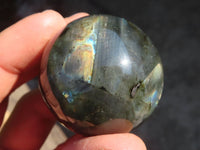 Polished Rare Flashy Labradorite Spheres x 6 From Tulear, Madagascar