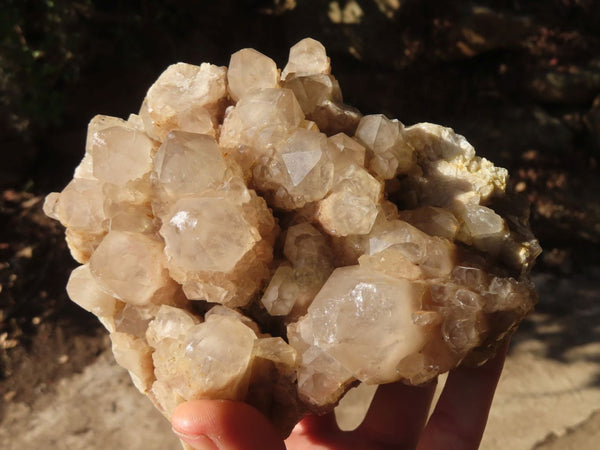 Natural Smokey Quartz Cluster x 1 From Congo