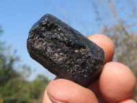 Natural Single Terminated Alluvial Black Schorl Tourmaline Crystals  x 69 From Zimbabwe - TopRock