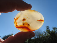 Polished Bright Red/ Orange Small to Medium Sized Carnelian Agate Palm Stones / Gallets - sold per kg - From Madagascar - TopRock