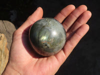 Polished Rare Flashy Labradorite Spheres x 6 From Tulear, Madagascar