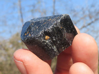 Natural Single Terminated Alluvial Black Schorl Tourmaline Crystals  x 69 From Zimbabwe - TopRock