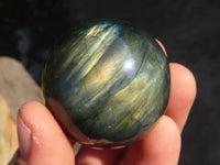 Polished Rare Flashy Labradorite Spheres x 6 From Tulear, Madagascar