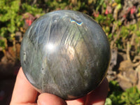 Polished Rare Flashy Labradorite Spheres x 6 From Tulear, Madagascar