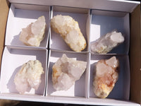 Natural White Cactus Flower Spirit Quartz Specimens  x 6 From Boekenhouthoek, South Africa - Toprock Gemstones and Minerals 