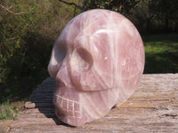 Polished XXL Pink Rose Quartz Skull Carving  x 1 From Madagascar - TopRock