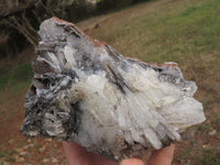 Natural Rare Bladed Barite Specimens  x 2 From Tenke Fungurume, Congo - TopRock