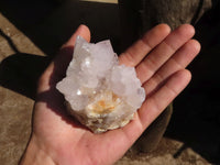 Natural White Cactus Flower Spirit Quartz Specimens  x 6 From Boekenhouthoek, South Africa - Toprock Gemstones and Minerals 