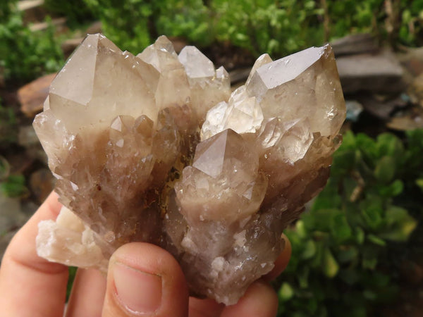 Natural Cascading White Phantom Smokey Quartz Specimens  x 6 From Luena, Congo - TopRock