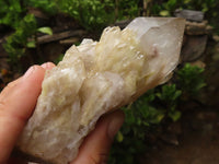 Natural Cascading White Phantom Smokey Quartz Specimens  x 6 From Luena, Congo - TopRock