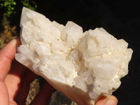 Natural "Cathedral Window" Candle Quartz Formations  x 3 From Madagascar