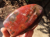 Polished Red Podocarpus Petrified Wood Standing Free Forms x 2 From Mahajanga, Madagascar