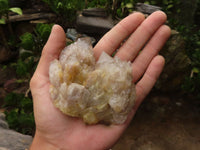 Natural Cascading White Phantom Smokey Quartz Specimens  x 6 From Luena, Congo - TopRock