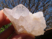 Natural White Cactus Flower Spirit Quartz Specimens  x 6 From Boekenhouthoek, South Africa - Toprock Gemstones and Minerals 