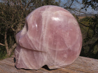 Polished XXL Pink Rose Quartz Skull Carving  x 1 From Madagascar - TopRock