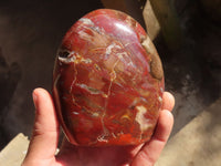 Polished Red Podocarpus Petrified Wood Standing Free Forms x 2 From Mahajanga, Madagascar