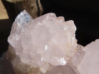 Natural White Cactus Flower Spirit Quartz Specimens  x 6 From Boekenhouthoek, South Africa - Toprock Gemstones and Minerals 