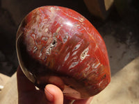 Polished Red Podocarpus Petrified Wood Standing Free Forms x 2 From Mahajanga, Madagascar