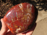 Polished Red Podocarpus Petrified Wood Standing Free Forms x 2 From Mahajanga, Madagascar