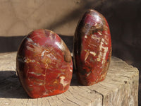 Polished Red Podocarpus Petrified Wood Standing Free Forms x 2 From Mahajanga, Madagascar