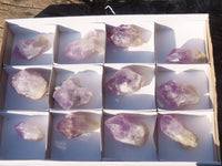 Natural Single Jacaranda Amethyst Crystals x 12 From Zambia